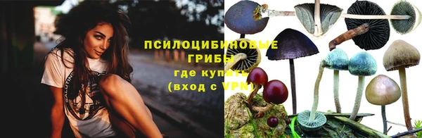 тгк Алексеевка