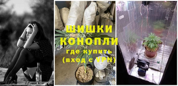 альфа пвп Няндома