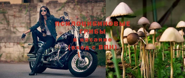 тгк Алексеевка